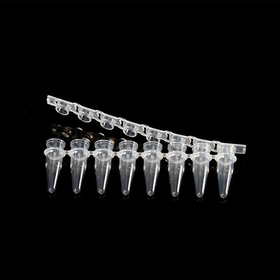 Tubes PCR à 8 bandelettes de 0,2 ml