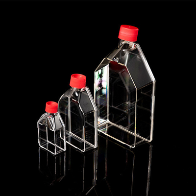 Consommables PCR stériles jetables Flacon de culture tissulaire 25cm2